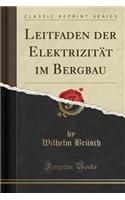 Leitfaden Der Elektrizitat Im Bergbau (Classic Reprint)