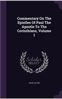 Commentary On The Epistles Of Paul The Apostle To The Corinthians, Volume 1