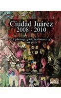 Ciudad Ju Rez 2008 - 2010