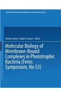 Molecular Biology of Membrane-Bound Complexes in Phototrophic Bacteria