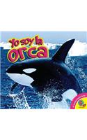 Orca