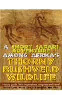 Short Safari adventure among Africa's thorny Bushveld wildlife