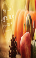 Gratitude Thanksgiving Offering Envelope (Pkg of 50)