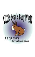 Little Bean's Busy World