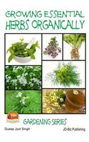 Growing Essential Herbs Organically