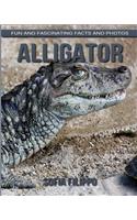 Alligator