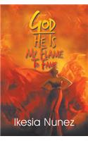 God-He Ls My Flame to Fame: A Book of Reflections