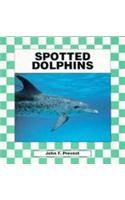 Spotted Dolphins