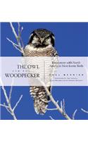Owl and the Woodpecker