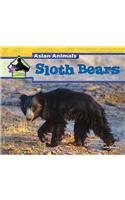 Sloth Bears