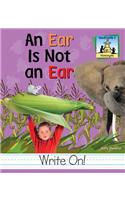 Ear Is Not an Ear