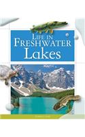 Life in Freshwater Lakes