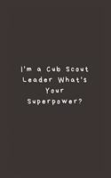 I'm a Cub Scout Leader What's Your Superpower?