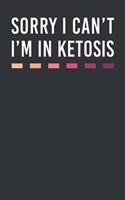 Sorry I Can't I'm In Ketosis: Dot Grid Journal or Notebook (6x9 Inches) with 120 Pages
