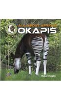 All about African Okapis