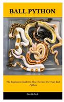 Ball Python: The Beginners Guide On How To Care For Your Ball Python