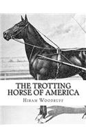 Trotting Horse of America