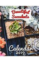 Beautiful Succulents Calendar 2019