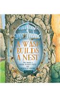 Wasp Builds a Nest: See Inside a Paper Wasp's Nest and Watch It Grow