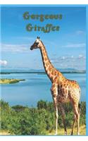 Gorgeous Giraffes: 124 Page Softcover, Has Both Lined And/Or Blank Pages with Giraffe Images, College Rule Composition (6