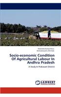 Socio-economic Condition Of Agricultural Labour In Andhra Pradesh