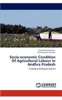 Socio-economic Condition Of Agricultural Labour In Andhra Pradesh