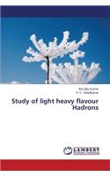 Study of light heavy flavour Hadrons