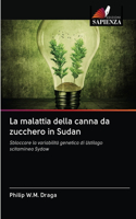 La malattia della canna da zucchero in Sudan