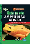 Life In The Amphibian World