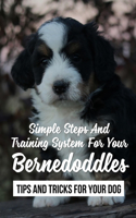 Simple Steps And Training System For Your Bernedoddles: Tips And Tricks For Your Dog: Nutritions For Bernedoddles