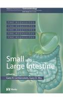 Small and Large Intestine