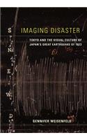 Imaging Disaster