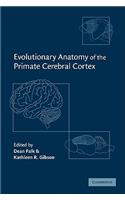 Evolutionary Anatomy of the Primate Cerebral Cortex