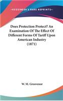 Does Protection Protect? An Examination Of The Effect Of Different Forms Of Tariff Upon American Industry (1871)