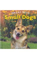 Small Dogs