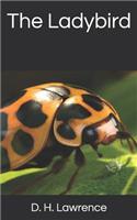 The Ladybird