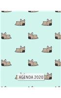 Agenda 2020