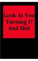 Look at You Turning 17 and Shit: Blank Lined Journal for 18th Birthday Gag Gift, Funny Gift for Teen Boys & Girls, Friends and Family (6 X 9)