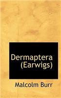 Dermaptera (Earwigs)