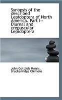 Synopsis of the Described Lepidoptera of North America. Part I--Diurnal and Crepuscular Lepidoptera