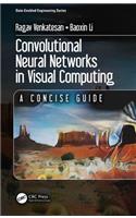Convolutional Neural Networks in Visual Computing