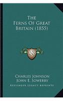 The Ferns Of Great Britain (1855)