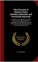 The Doctrines of Glorious Grace Unfolded, Defended, and Practically Improved: Herein the Fall of Mankind in the First Adam, and the Methods of Divine Sovereignty in the Effectual Recovery of a Chosen Remnant by Christ the Seco