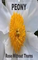 Peony Rose Without Thorns 2018: Peony, a Flower of Symbolic Importance(Calvendo Nature)