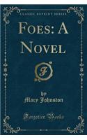 Foes: A Novel (Classic Reprint)