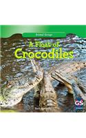 A Float of Crocodiles