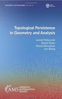 Topological Persistence in Geometry and Analysis