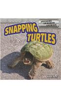 Snapping Turtles