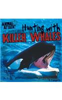 Hunting with Killer Whales