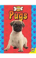 Pugs